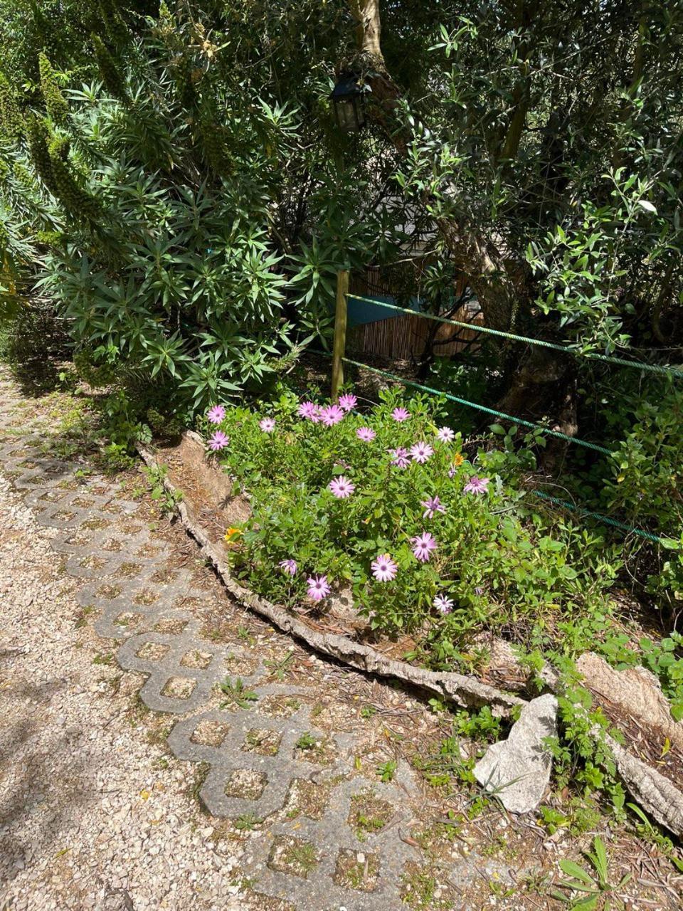 Quinta Laranja Hotel Alvorninha Bagian luar foto